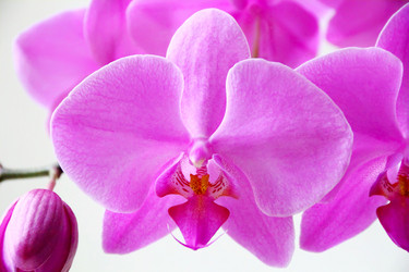 Similar image 5898110