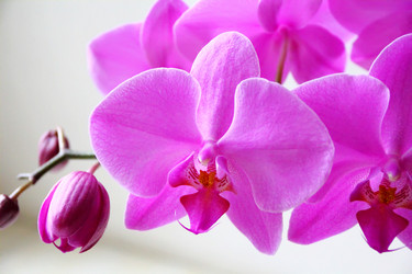 Similar image 5898111