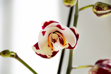 Similar image 5898114