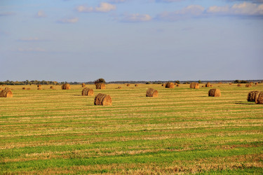 Similar image 5898119