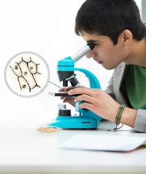 Similar image 5898253