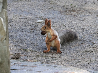 Similar image 5898341