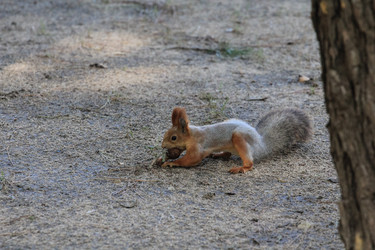 Similar image 5898342