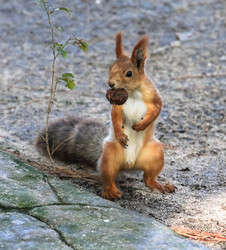 Similar image 5898343