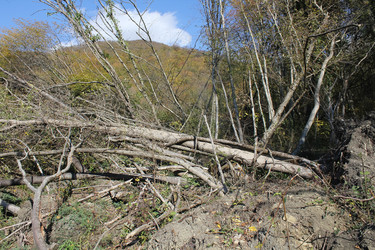 Similar image 5898344