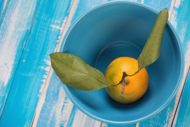 Similar image 5898520