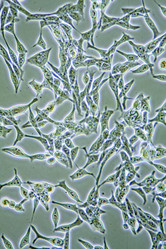 Similar image 5898618