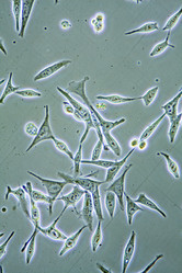 Similar image 5898619