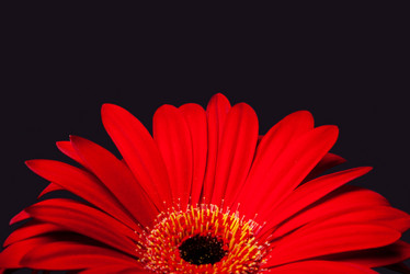 Similar image 5898723