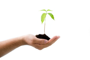 Similar image 5898733