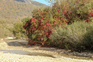 Similar image 5898867