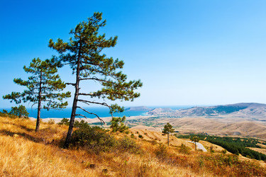 Similar image 5898875