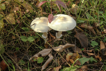 Similar image 5898881