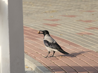 Similar image 5898898