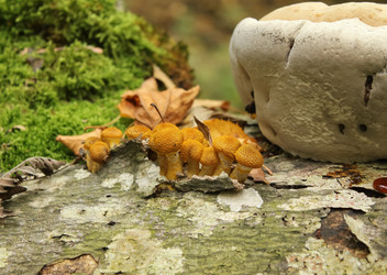 Similar image 5898899