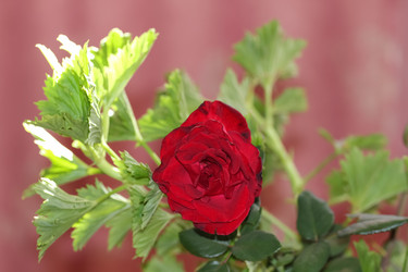 Similar image 5898902