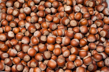 Similar image 5898904