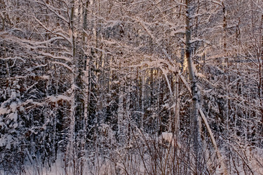 Similar image 5898915