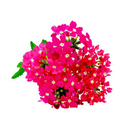 Similar image 5898918