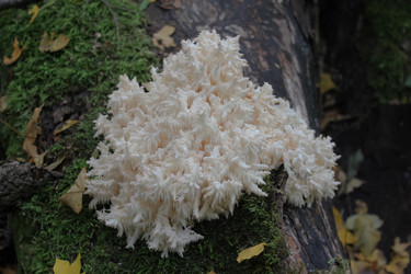 Similar image 5898926