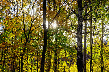 Similar image 5898963