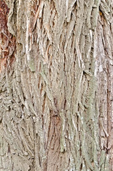 Similar image 5898965