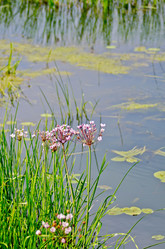 Similar image 5898969