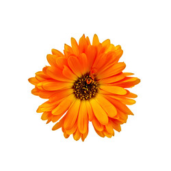 Similar image 5898972