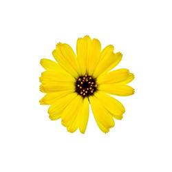 Similar image 5898974