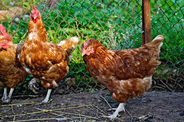 Similar image 5899009