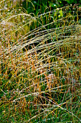 Similar image 5899039