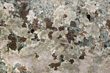 Similar image 5899065