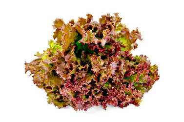 Similar image 5899087