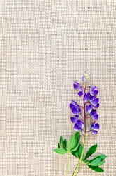 Similar image 5899105