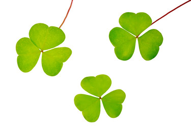 Similar image 5899239