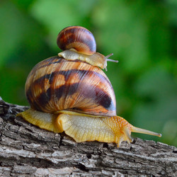 Similar image 5899274