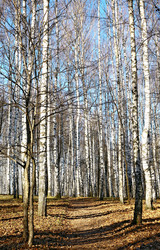 Similar image 5899278