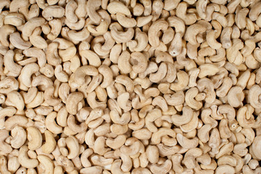 Similar image 5899293