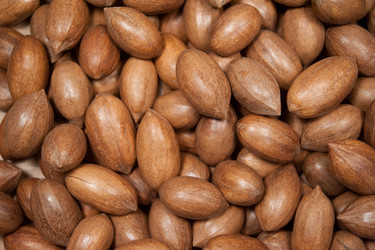 Similar image 5899294