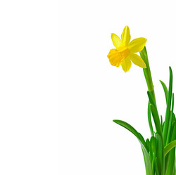 Similar image 5899359