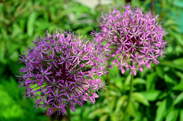 Similar image 5899370