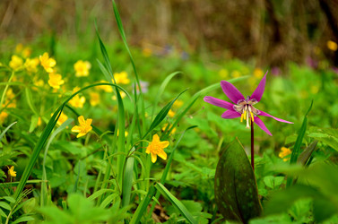 Similar image 5899371