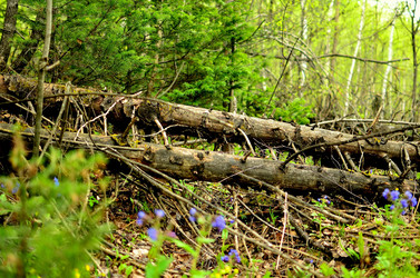 Similar image 5899373