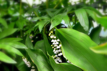 Similar image 5899374