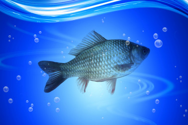 Similar image 5899381