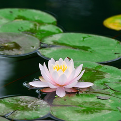 Similar image 5899389