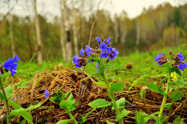 Similar image 5899390