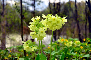 Similar image 5899392