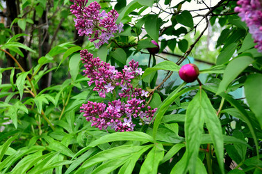 Similar image 5899393