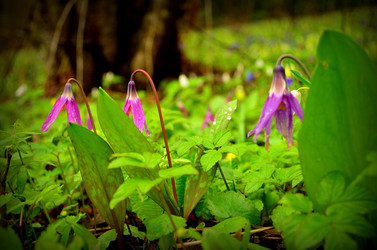 Similar image 5899394